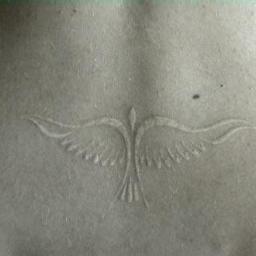 RainnofSorrow's profile picture. SPN is a way of life...love it, live it, or get the hell outta my way! Real world Pagan and dedicated Minion. All hail the Overlord!!