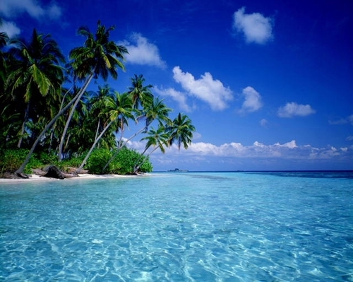 EmergingPercept's profile picture. We are dedicated to helping people realize their EMERGING PERCEPTIONS of themselves and helping them strive for and reach their goals…mind, body and spirit.