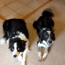 carter.lawson - @crtrlawson - Twitter