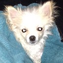 Tobin Wood - @TobinWood - Twitter