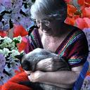 Judith Wray - @judywray - Twitter