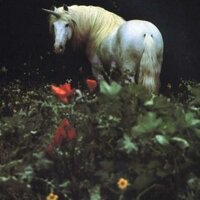 WHS InteractClub (@pantherinteract) 's Twitter Profile