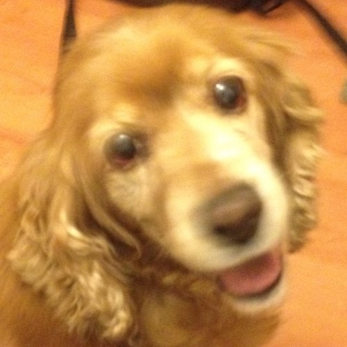 PALANCIABLABLA's profile picture. Necesito a alguien que me entienda .... y luego que después me explique. 🏂🏀🚵‍♂️ 🚣‍♀️🏄‍♂️🏊🏿‍♀️🎮🎼🎨✈️🚆🛸🗺