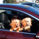 Donald Lilly - @bird4868 - Twitter