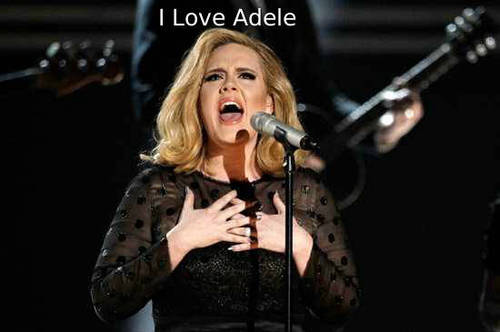 Follow me and I'll Follow you back!! If you want to receive all the latest news and  photos on adele then press the follow button