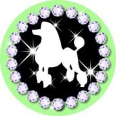 Dog grooming salon in Tamworth UK