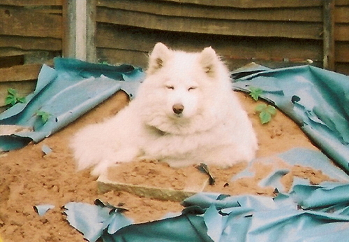 RedfordRay's profile picture. 