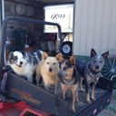 Mark Kirkpatrick - @flyingmk1 - Twitter