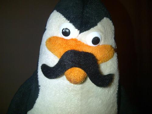 Frank Penguine