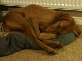 joanyrr's profile picture. Solicitor specialising in private client matters, proud Devonian, occasional xfitter & parkrunner, coffee lover