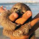 juna lee - @Birdizzy - Twitter