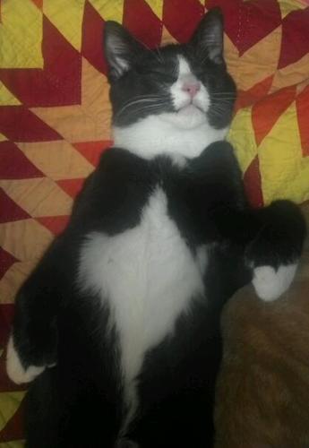 lilpoohbearie's profile picture. Stay at home married mom of 3.That love God to the fullest!