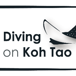 Bas & Marie-Lise
Dive instructors

Language: Dutch, French, English and Arabic

http://t.co/AFpr4wkM
info@divingonkohtao.com
Phone : 0066 (0) 921299575