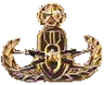 U.S. Navy EOD