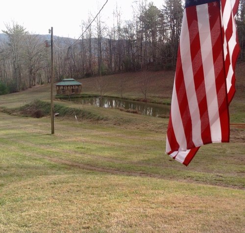 carlthess's profile picture. 