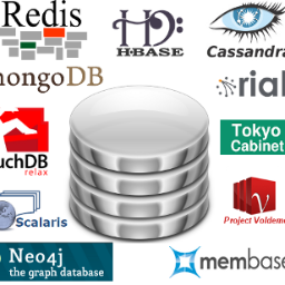 NoSQLer's profile picture. Node