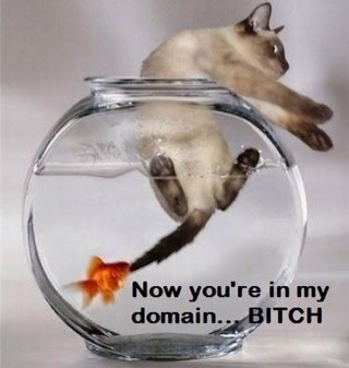 B4B0oN's profile picture. Truth is sealed within lies, lies within secrets , secrets within disbelieve and disbelieve within imagination