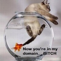 Pink D (@b4b0on) 's Twitter Profile Photo