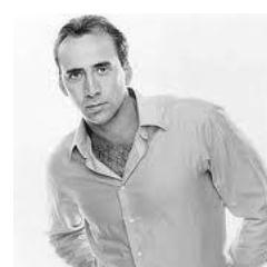 opfceagle's profile picture. OPFC