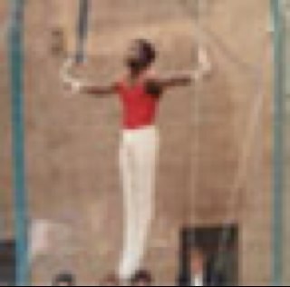 Mens International Performance Coach & Head Coach at City of Birmingham Gymnastics Club