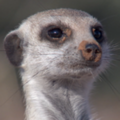 somberain's profile picture. 重度间隙性乳酸分解功能性缺失群候症患者