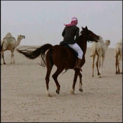 افعل مايحبه قلبي ❤️