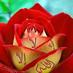 arabian girl  (@arabiangirl6) Twitter profile photo