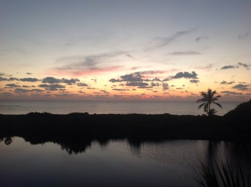 markmannix's profile picture. 