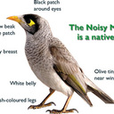 Devender Kumar - @Devende34999442 - Twitter