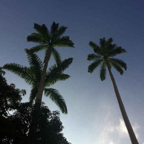 CasaVeroes's profile picture. Propuesta cada vez +venezolana. Ingredientes y recetas tipicas. Aqui es un orgullo comer venezolano