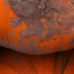 londonarti's profile picture. London Artisans' Markets: Abbeville Road Produce Market, Sundays 10am-2pm & Spitalfields Produce Market- 2nd, 4th & 5th Fridays & 2nd Saturday of the month