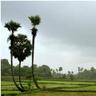 PalakkadNews's profile picture. Breaking News from Palakkad Kerala.