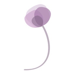 CurvedRose's profile picture. Curved Rose sells contemporary plus size jewellery, specialising in rings and bracelets in larger sizes for the modern curved woman. http://t.co/3Ej2Kh1Xoi