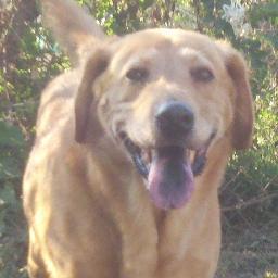 peggydalton's profile picture. Purveyor of life on the fringe , social media novice, information gatherer and disseminator