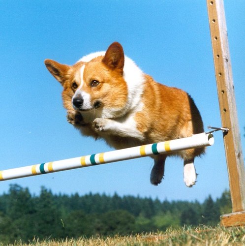 chamnoura's profile picture. 