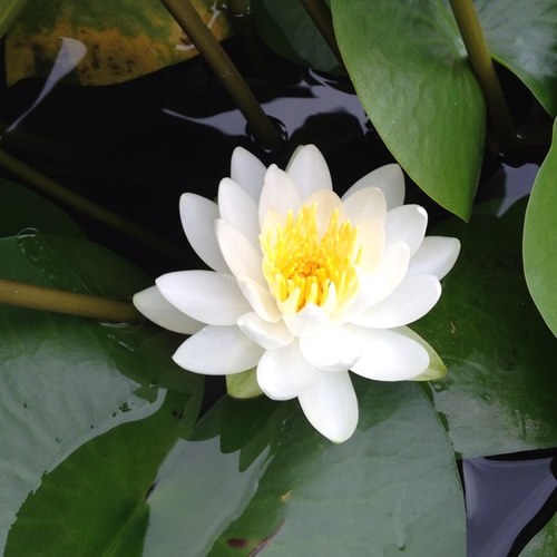 9Noriko's profile picture. 