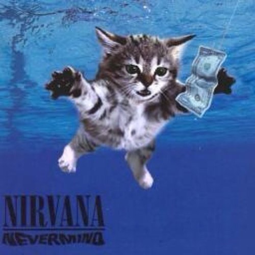 mittan_mittan's profile picture. 