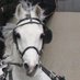 Indoor Driving (@indoordriving) Twitter profile photo