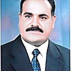 sayed adam