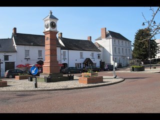 nagsusk's profile picture. 