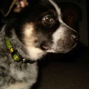 Abby Dorsey - @AbbyDorsey1 - Twitter