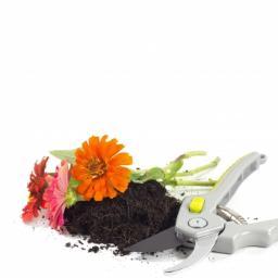 Home and Garden product reviews online
