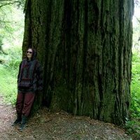 Jasmine Sailing 🇵🇸🏳️‍⚧️🏳️‍🌈🪼🎃 (@madamecp) 's Twitter Profile Photo