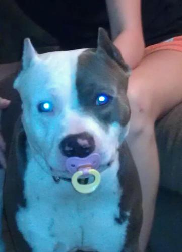 Kimberlydoll02's profile picture. 