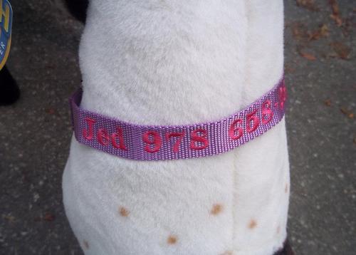 OakStreetEmb's profile picture. Custom Embroidery, t-shirt transfers and dog collars to name a few type of items we offer. Most items do not have a minimum.