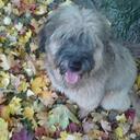 raymond doyle - @dorascherf - Twitter