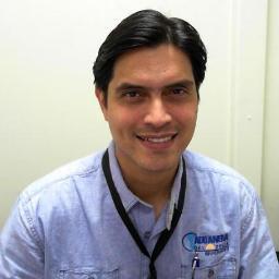 Arquitecto de  de TI en  Everis, Ingeniero en Computación, Magister en I+D