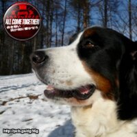 高橋彩子 (@dds04aya) 's Twitter Profile