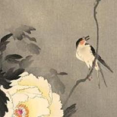 @hkfp Past @HKU @AFPFactCheck/@AFPperiksafakta/@AFPsemakanfakta, @Storyful, @TIME, @nytimes, @CNN, @SCMPNews etc.  🐳: yennikwok 🦋 : yennikwok 🧵: yenni_kwok