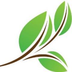 SRStrategies's profile picture. 